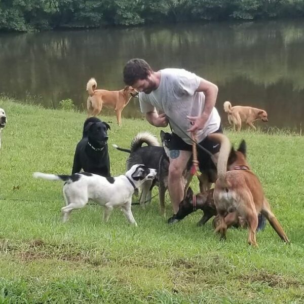 Best and affordable Dog training in Atlanta
